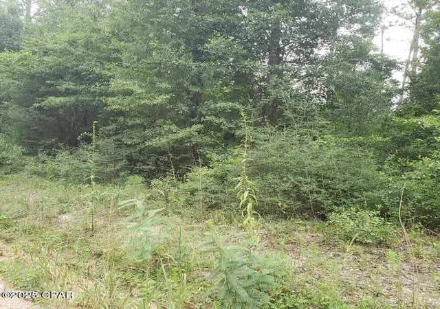 2nd image of Xxx Foxworth Rd, Chipley, FL 32428 | MLS# 779284