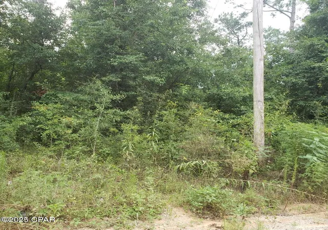 4th image of Xxx Foxworth Rd, Chipley, FL 32428 | MLS# 779284