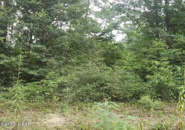 6th image of Xxx Foxworth Rd, Chipley, FL 32428 | MLS# 779284