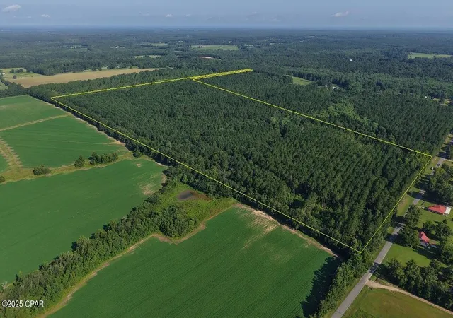 1st image of 0 Co 147 Hwy, Laurel Hill, FL 32567 | MLS# 779361
