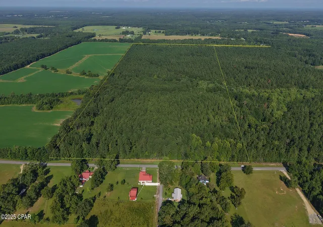 2nd image of 0 Co 147 Hwy, Laurel Hill, FL 32567 | MLS# 779361