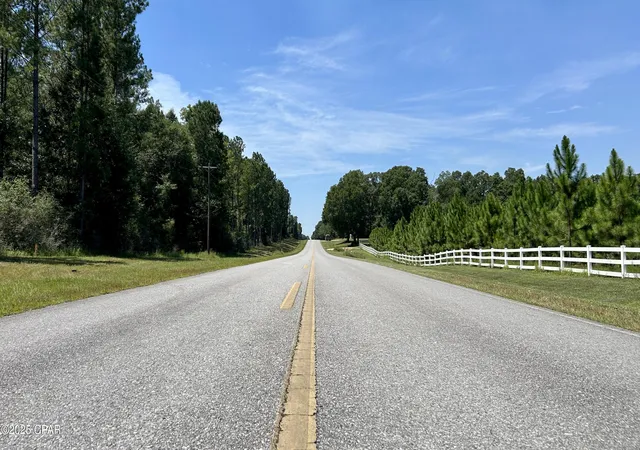 3rd image of 0 Co 147 Hwy, Laurel Hill, FL 32567 | MLS# 779361
