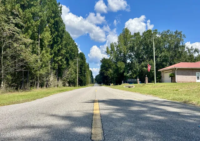 45th image of 0 Co 147 Hwy, Laurel Hill, FL 32567 | MLS# 779361