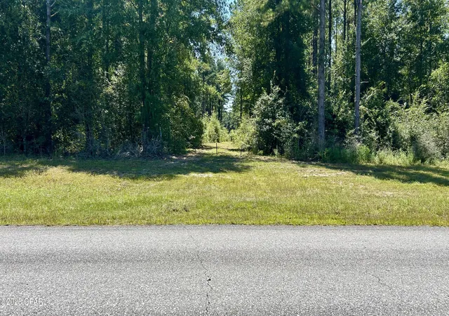 4th image of 0 Co 147 Hwy, Laurel Hill, FL 32567 | MLS# 779361