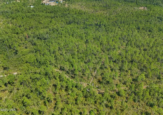 13th image of 19809 Dickerson Rd, Fountain, FL 32438 | MLS# 779502