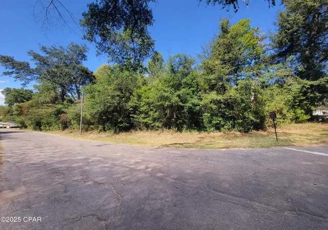 1st image of 00 River Rd, Marianna, FL 32446 | MLS# 779507
