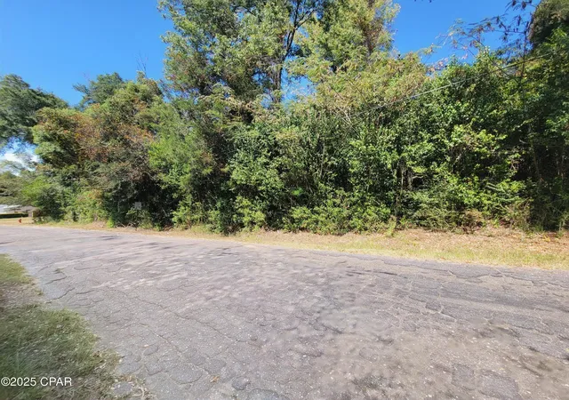 2nd image of 00 River Rd, Marianna, FL 32446 | MLS# 779507