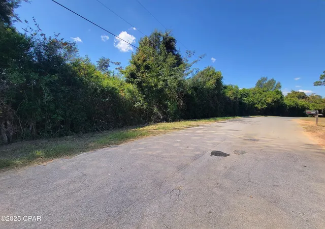 3rd image of 00 River Rd, Marianna, FL 32446 | MLS# 779507