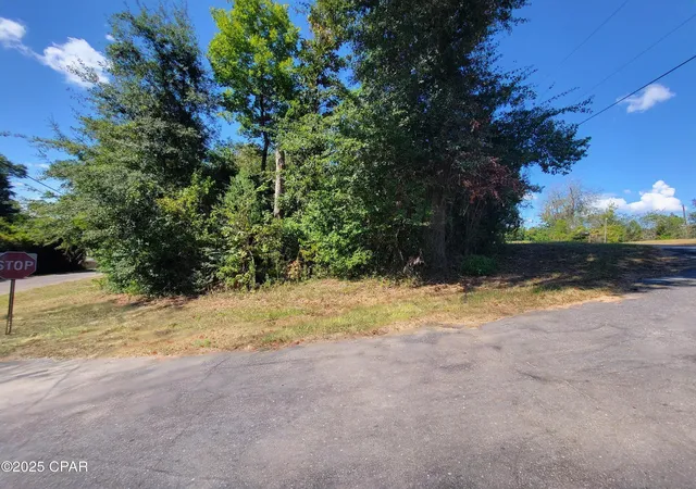 4th image of 00 River Rd, Marianna, FL 32446 | MLS# 779507