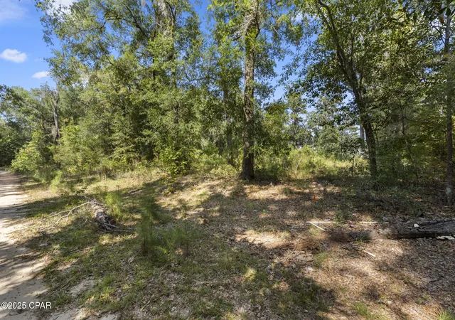 2nd image of 3126 Magnolia Dr, Chipley, FL 32428 | MLS# 779575