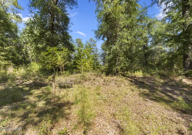 3rd image of 3126 Magnolia Dr, Chipley, FL 32428 | MLS# 779575