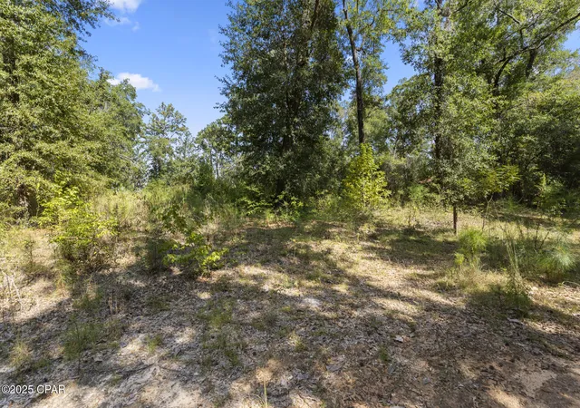 4th image of 3126 Magnolia Dr, Chipley, FL 32428 | MLS# 779575