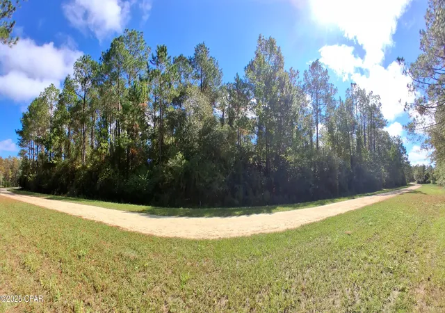 Homes for sale in Westville, FL | Lot 37 Alder Ln, Westville, FL 32464 | MLS# 779670