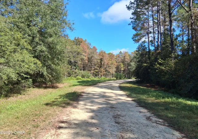 Homes for sale in Westville, FL | Lot 37 Alder Ln, Westville, FL 32464 | MLS# 779670