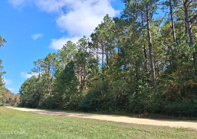Homes for sale in Westville, FL | Lot 37 Alder Ln, Westville, FL 32464 | MLS# 779670