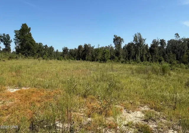 3rd image of 0 Jewel Rd, Alford, FL 32420 | MLS# 779816