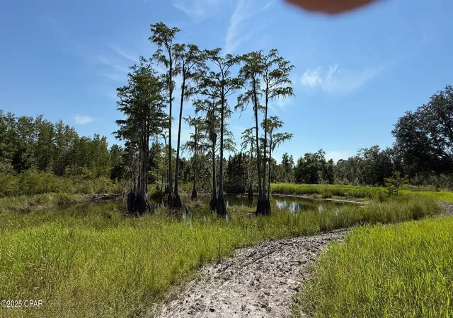 4th image of 0 Jewel Rd, Alford, FL 32420 | MLS# 779816