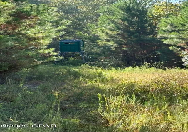 1st image of 0 Hwy 2, Graceville, FL 32440 | MLS# 779817