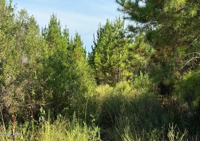 5th image of 0 Hwy 2, Graceville, FL 32440 | MLS# 779817