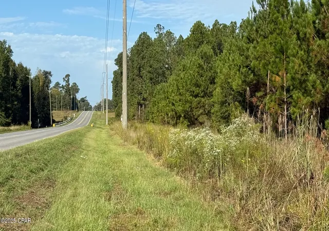 6th image of 0 Hwy 2, Graceville, FL 32440 | MLS# 779817