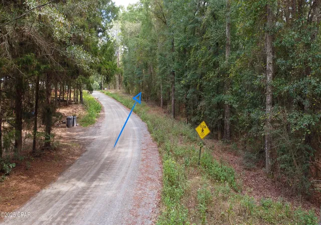 Homes for sale in Bonifay, FL | 2724 Muir Ln, Bonifay, FL 32425 | MLS# 780147