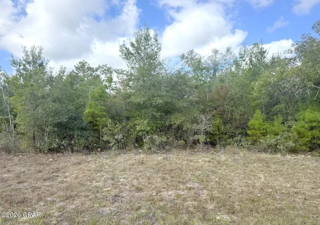 Homes for sale in Chipley, FL | Xxx Parkview Dr #Lot 13, Chipley, FL 32428 | MLS# 780160