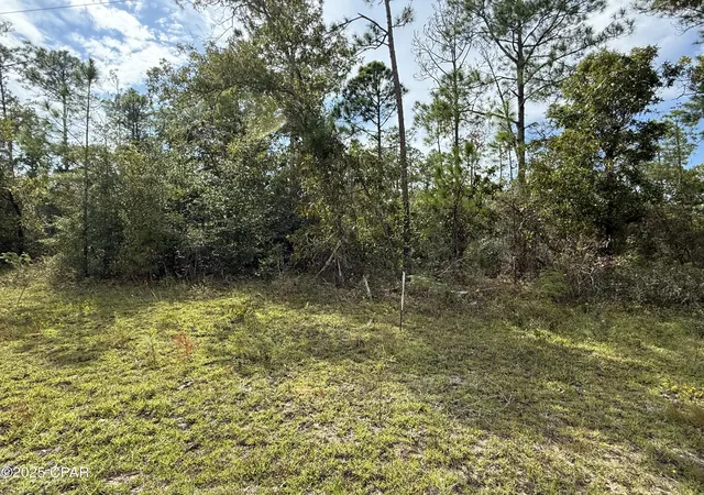 Photo 1 of Land for sale at 000 Beaverhead St, Alford, FL 32420 | MLS# 780292 | Listing updated on 2026-09-18