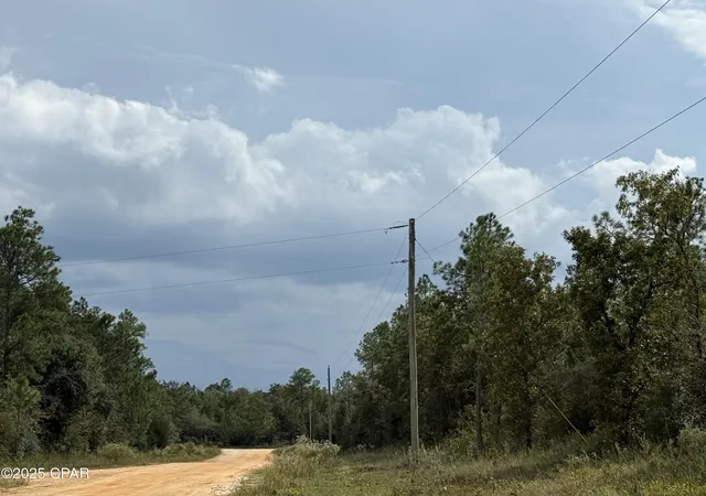 Photo 2 of Land for sale at 000 Beaverhead St, Alford, FL 32420 | MLS# 780292 | Listing updated on 2026-09-18