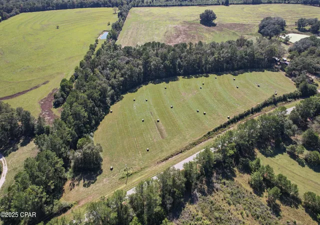 Homes for sale in Westville, FL | 00 Hwy 160 Hwy, Westville, FL 32464 | MLS# 780404