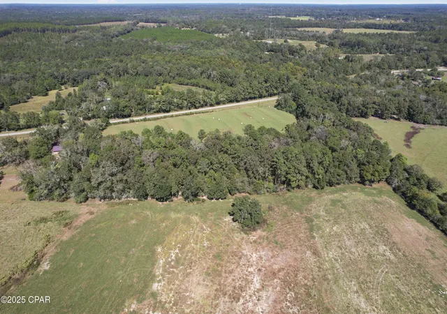 Homes for sale in Westville, FL | 00 Hwy 160 Hwy, Westville, FL 32464 | MLS# 780404