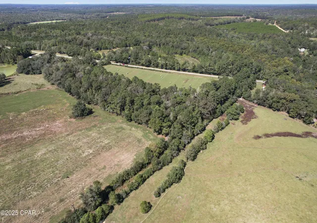 Homes for sale in Westville, FL | 00 Hwy 160 Hwy, Westville, FL 32464 | MLS# 780404