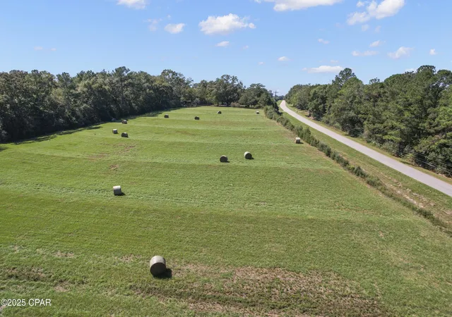 Homes for sale in Westville, FL | 00 Hwy 160 Hwy, Westville, FL 32464 | MLS# 780404