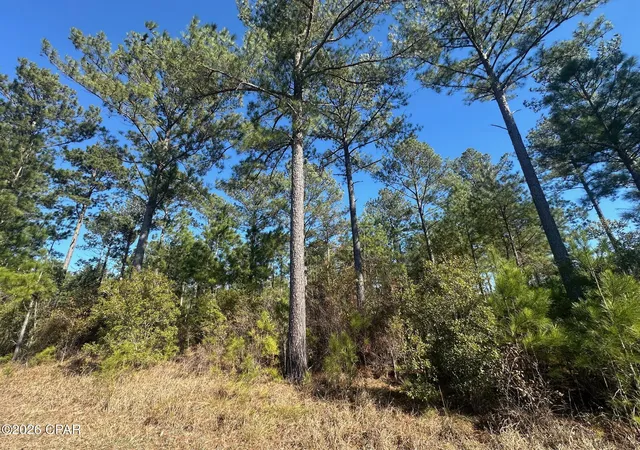 1st image of 000 River Rd, Sneads, FL 32460 | MLS# 780436