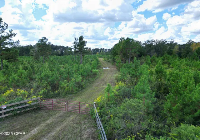2nd image of 000 River Rd, Sneads, FL 32460 | MLS# 780436