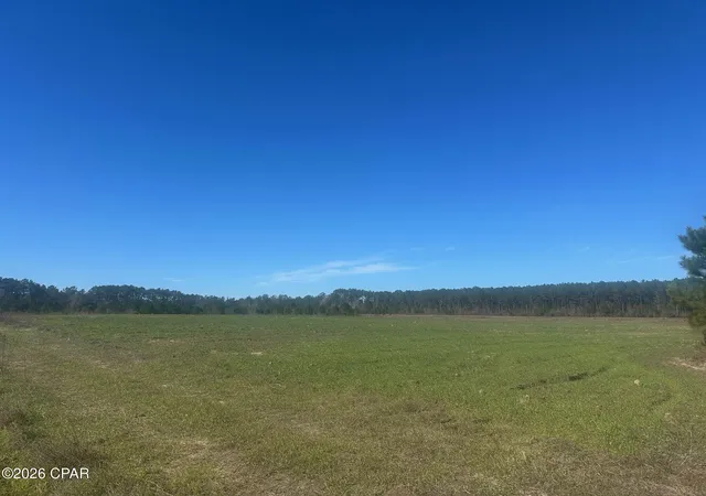 3rd image of 000 River Rd, Sneads, FL 32460 | MLS# 780436