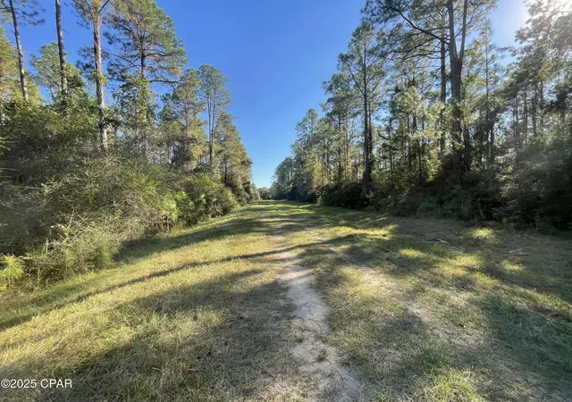 1st image of 0010 Hawthorne Trl, Bonifay, FL 32425 | MLS# 780486