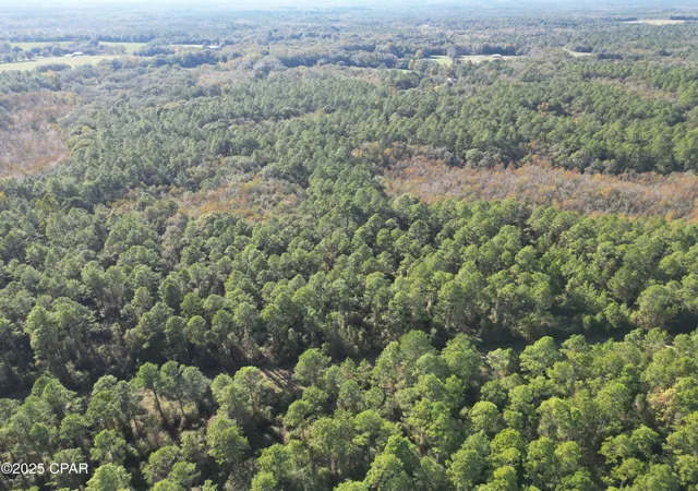 4th image of 0010 Hawthorne Trl, Bonifay, FL 32425 | MLS# 780486