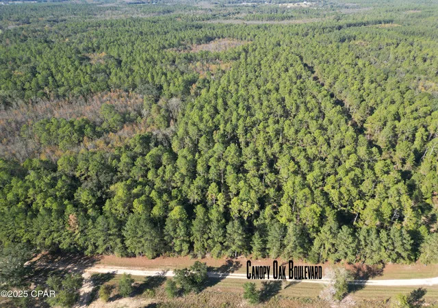 5th image of 0010 Hawthorne Trl, Bonifay, FL 32425 | MLS# 780486