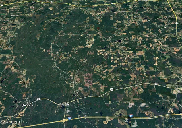 12th image of 0020 Hawthorne Trl, Bonifay, FL 32425 | MLS# 780487