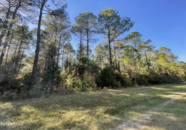 1st image of 0020 Hawthorne Trl, Bonifay, FL 32425 | MLS# 780487