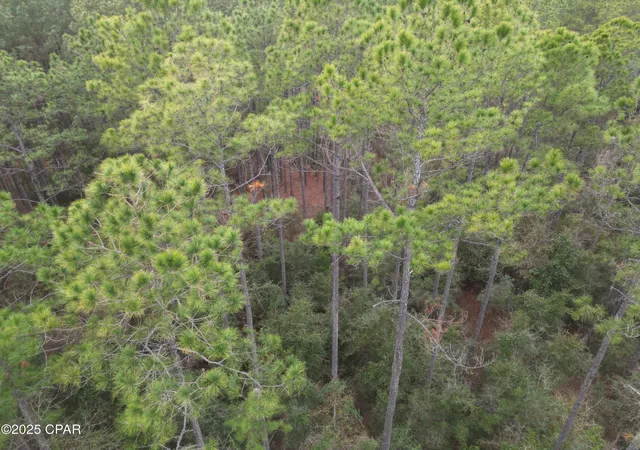 2nd image of 0020 Hawthorne Trl, Bonifay, FL 32425 | MLS# 780487