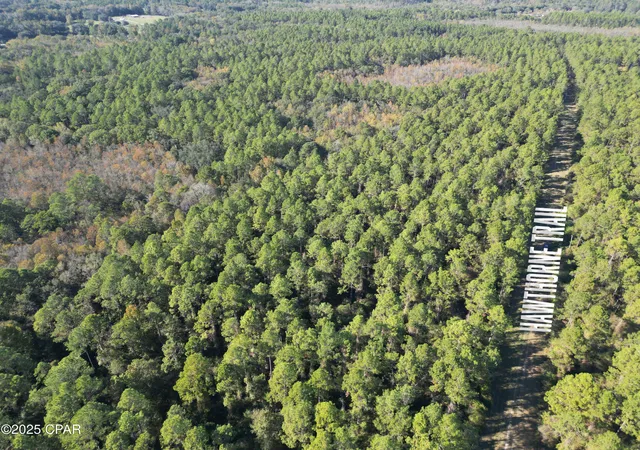 5th image of 0020 Hawthorne Trl, Bonifay, FL 32425 | MLS# 780487