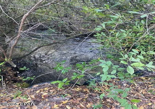 Photo 1 of Land for sale at 21526 Nw Isoletta Ln, Altha, FL 32421 | MLS# 780654 | Listing updated on 2026-05-30