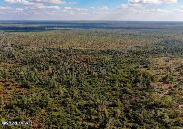 Photo 2 of Land for sale at 21526 Nw Isoletta Ln, Altha, FL 32421 | MLS# 780654 | Listing updated on 2026-05-30
