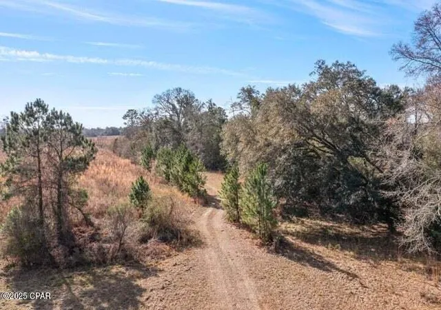 Homes for sale in Cottondale, FL | 2045 Us Hwy 90, Cottondale, FL 32431 | MLS# 780990