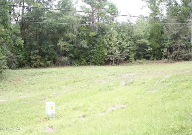 23rd image of 000 South St, Marianna, FL 32448 | MLS# 781064