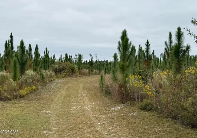 Photo 2 of Land for sale at 10900 E Hwy 388, Youngstown, FL 32466 | MLS# 781201 | Listing updated on 2026-05-30