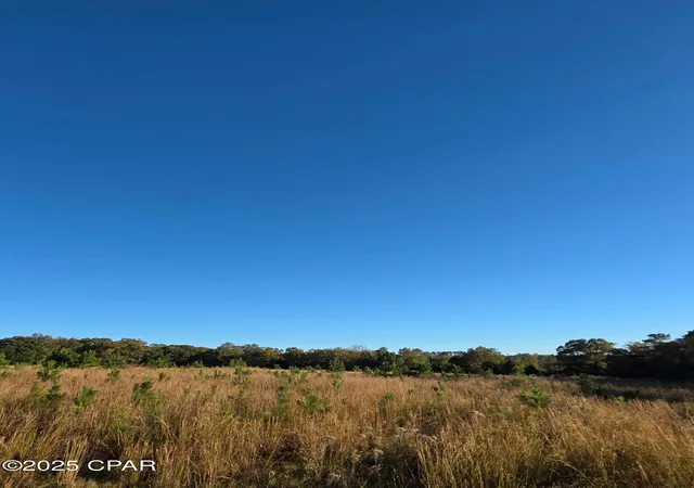 Homes for sale in Westville, FL | 2785 Otter Pond Rd, Westville, FL 32464 | MLS# 781317