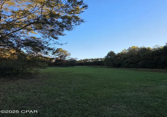 Homes for sale in Westville, FL | 2785 Otter Pond Rd, Westville, FL 32464 | MLS# 781317