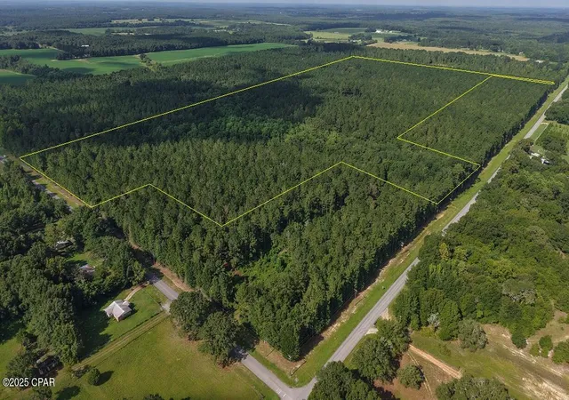 2nd image of 0 Hwy 147, Laurel Hill, FL 32567 | MLS# 781406